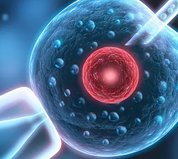 试管婴儿促排卵注意事项有哪些？促排卵后需要卧床休息吗？