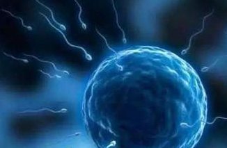 焦作市妇幼保健院做三代试管婴儿的成功率有多少？附试管助孕详细费用汇总