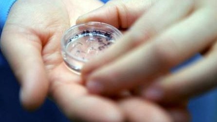 2026年安徽残角子宫试管婴儿口碑最佳五家医院，详述生育条件和费用概览