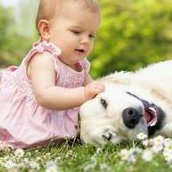 大同三医院试管婴儿多少钱？