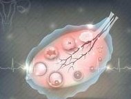 杭州助孕机构前三强盘点，在杭州助孕生子费用一览