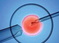 试管二代怎么样？能够预防哪些疾病？