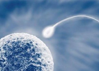 未婚去泰国cef生殖中心做试管的费用贵吗？未婚做试管需要花费多少钱？