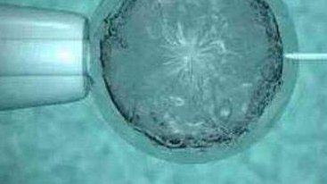 试管婴儿和人工受孕一样吗？