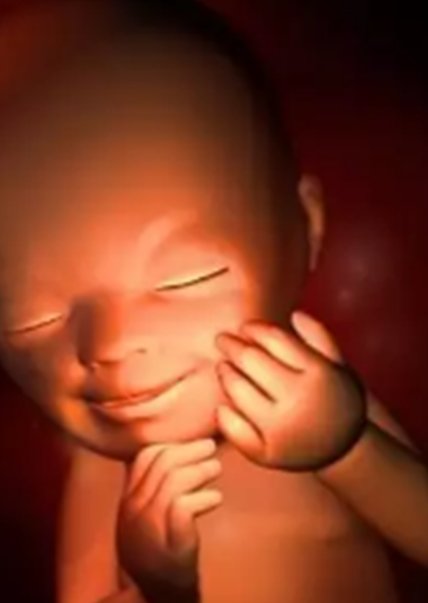 台州第三代试管婴儿费用详解，哪些医院值得信赖？